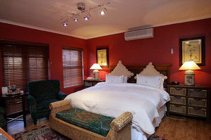 Suite - 40 Winks Guest House, Cape Town, Western Cape, South Africa - Click for larger image
