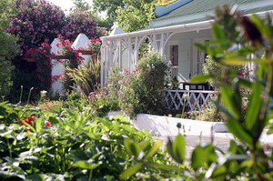 Garden, Adley House, Bed and Breakfast, Oudtshoorn - Klein Karoo/Garden Route, South Africa - click for larger image