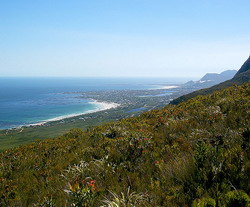Bettys Bay, Overberg, Western Cape, South Africa