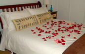 Bradclin House, Guest House with 3 Self-Catering Suites, Pinelands, Cape Town, South Africa