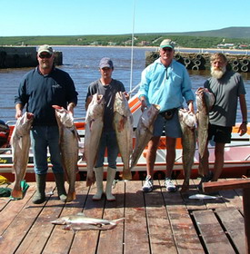 The Breede River Resort and Fishing Lodge