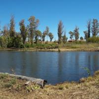 Bernally's Fishing Lodge