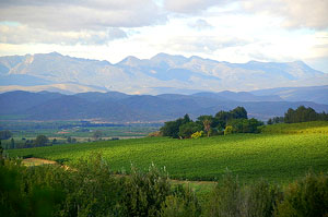 Breede River Valley, Western Cape, South Africa