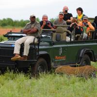 Motswari Private Game Reserve