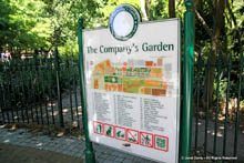 The Company's Garden, Gardens, Cape Town, South Africa