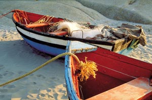 West Coast Fishing Boats - Paternoster  South African Tourism