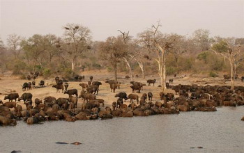 Elephant Plains Game Lodge in Sabi Sand Wildtuin, Kruger National Park, South Africa