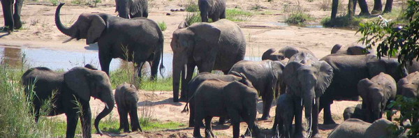 Elephant Walk Retreat