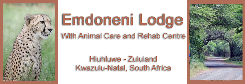 Emdoneni Lodge & Game Farm - Hluhluwe Game Park - Elephant Coast, KwaZulu-Natal, South Africa