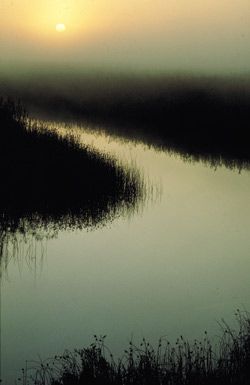 Wilderness