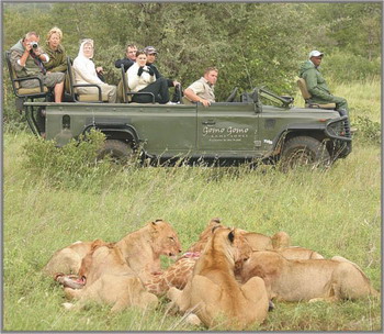 Gomo Gomo Game Lodge