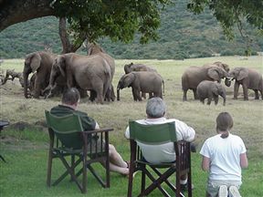 Gorah Elephant Camp, Addo
