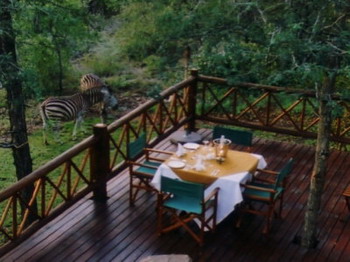 Grand Kruger Lodge in the Kruger National Park of South Africa