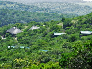 Inkwenkwezi Private Game Reserve