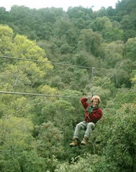 Karkloof treetop canopy tour