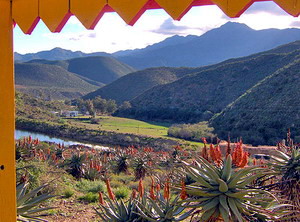 Matjiesvlei Cottages