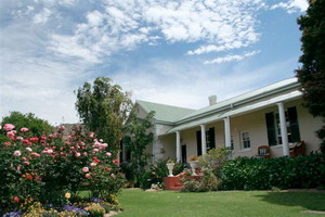 Montagu Vines - 4 star Guesthouse in a wine producing vineyard in Montagu, Route 62, South Africa - click for larger image