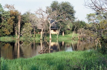 Motswari Lodge in the Motswari Private Game Reserve - Timbavati Game Reserve, Kruger National Park, South Africa