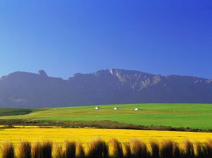 Overberg, Western Cape, South Africa