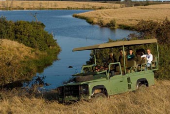 Game drive at Plett River Lodge - Click for larger image