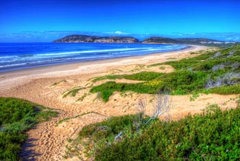 Beach in Plettenberg Bay - Click for larger image