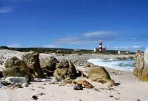 South Point Self-Catering and B&B, Agulhas
