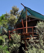 Guesthouse Teniqua Treetops