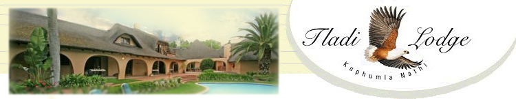 Tladi Lodge - Guest House / Bed and Breakfast Accommodation in Sandton, Johannesburg, Gauteng, South Africa
