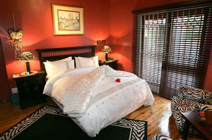 Suite - 40 Winks Guest House, Cape Town, Western Cape, South Africa - Click for larger image