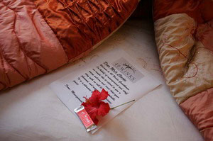 Suite - 40 Winks Guest House, Cape Town, Western Cape, South Africa - Click for larger image