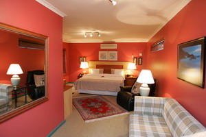 Self-Catering Apartment - 40 Winks Guest House, Cape Town, Western Cape, South Africa - Click for larger image