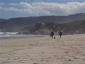 78on5th in Hermanus