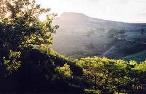 A Stone's Throw Bed & Breakfast, Grahamstown, South Africa