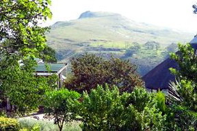 A Stone's Throw Bed & Breakfast, Grahamstown, South Africa