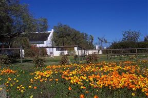 Aan de Doorns Guesthouse