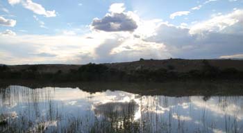 Aan de Voor Safaris, Game Farm, Colesberg