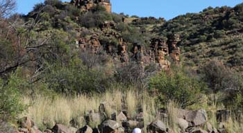 Aan de Voor Safaris, Game Farm, Colesberg