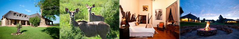 Addo Bush Palace Private Reserve