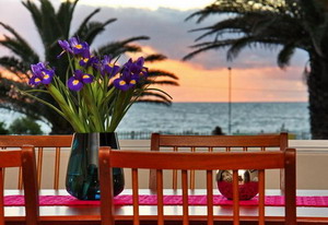 Adenium Beachfront Apartment