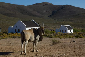 African Game Lodge