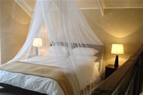 Aloe Guest House