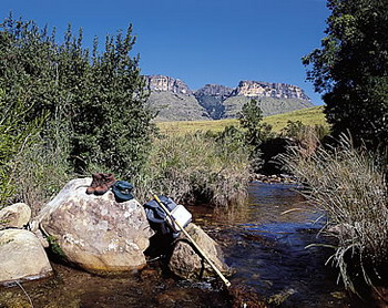 Alpine Heath Resort, Bergville, Northern Drakensberg