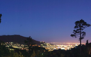 Alta Bay - Guest House, Higgovale, Cape Town, Western Cape, South Africa - Click for larger image