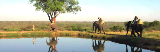 Amukela Game Lodge in Balule Nature Reserve, Central Kruger Park, South Africa