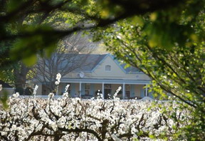 Auberge Clermont, Franschhoek