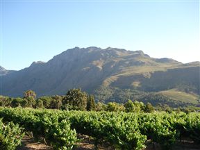Rosendal Guest Farm