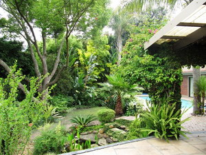 Aziza Guest House