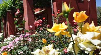 Beaufort Manor Country Lodge