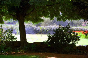 Berluda Farmhouse & Cottages