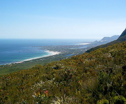 Bettys Bay, Overberg, Western Cape, South Africa
